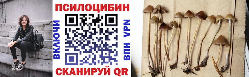 Псилоцибиновые грибы мухоморы Партизанск