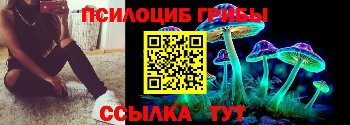 купить   Псилоцибиновые грибы Magic Shrooms  Вход с VPN  Псилоцибиновые грибы GOLDEN TEACHER  Партизанск 